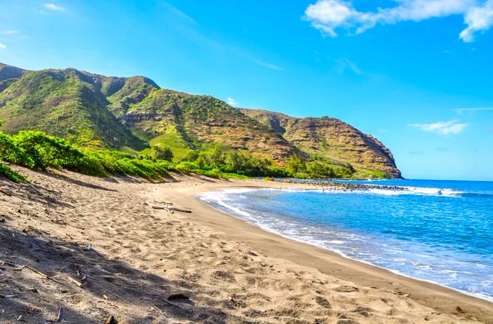 A scenic view of Halawa Beach Park and the lush Halawa Valley on the secluded island of Moloka'i, Hawaii.