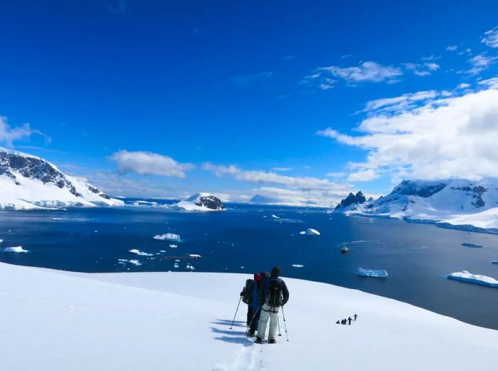 A group of adventurers snowshoeing on the Antarctic Peninsula.