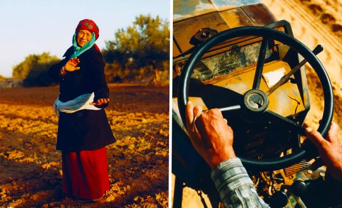 Left: An olive harvester working in the field. Right: A man drives a truck.