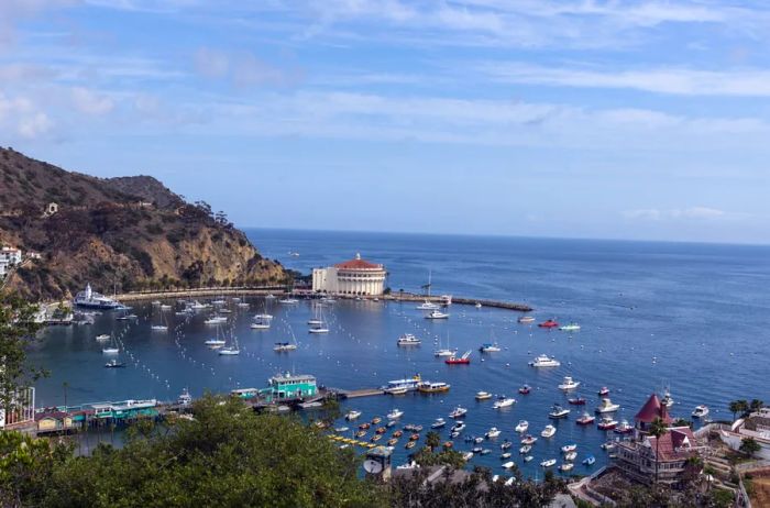 Catalina Island, California