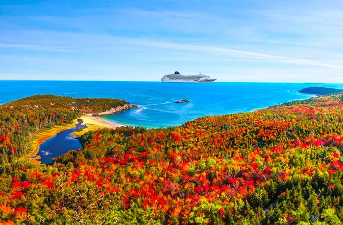 Breathtaking view of a cruise near Acadia National Park