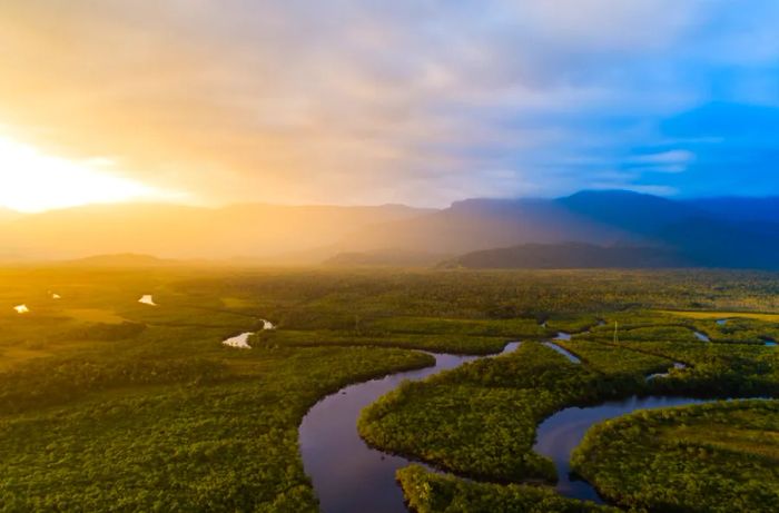 A meandering river flows through the Amazon rain forest.