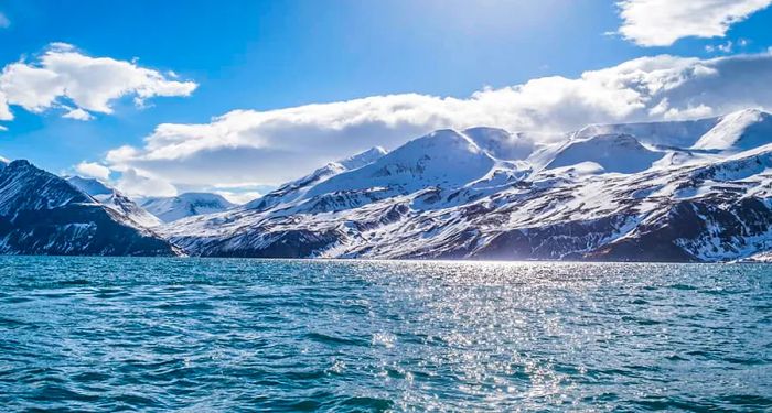 Glide past breathtaking glaciers in Iceland