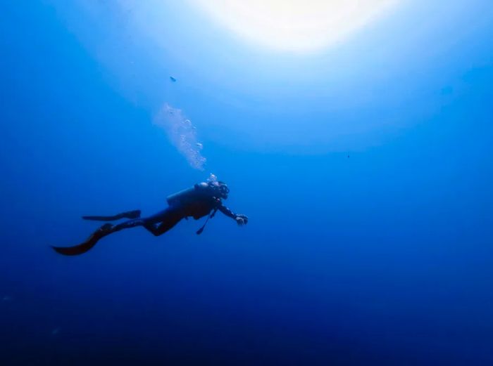 Bermuda is renowned for having one of the finest shipwreck diving sites in the world