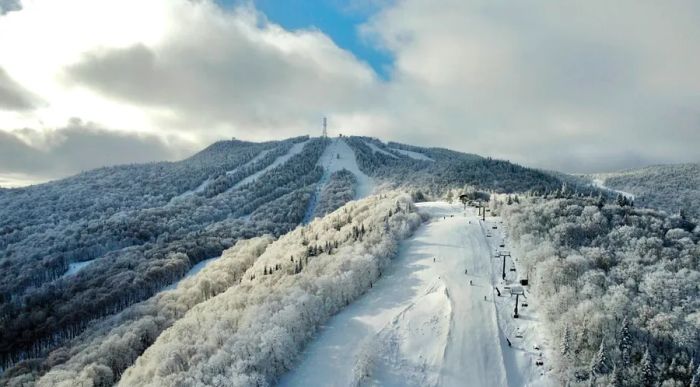 An aerial view of a snow-covered mountain showcasing ski runs between trees, with a ski lift on the right.