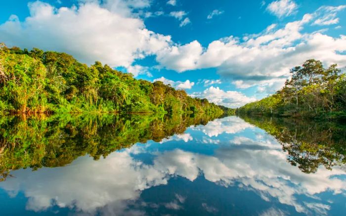 Experience the Amazon rainforest before continuing on to Europe and Southeast Asia during Uniworld's 2024 'Rivers of the World' expedition.