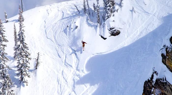 An aerial perspective of a downhill skier navigating the slopes at Revelstoke in British Columbia, surrounded by snowy evergreens.