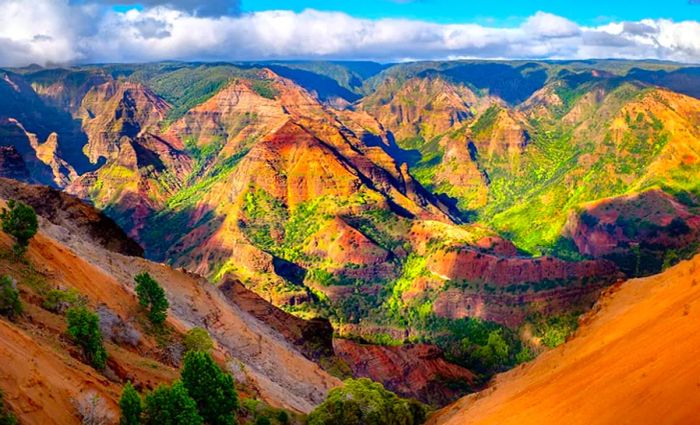 Waimea Canyon