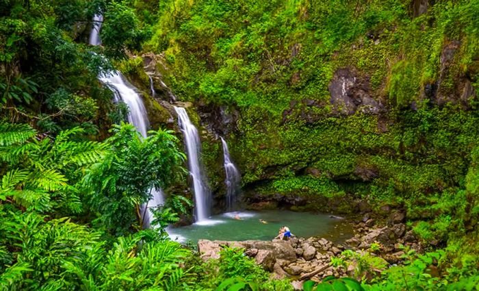 Journey Along the Road to Hana