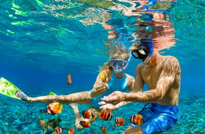 Snorkeling Adventures