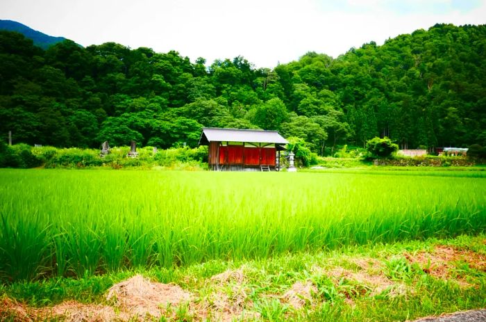 A quaint shrine nestled in the Japanese countryside