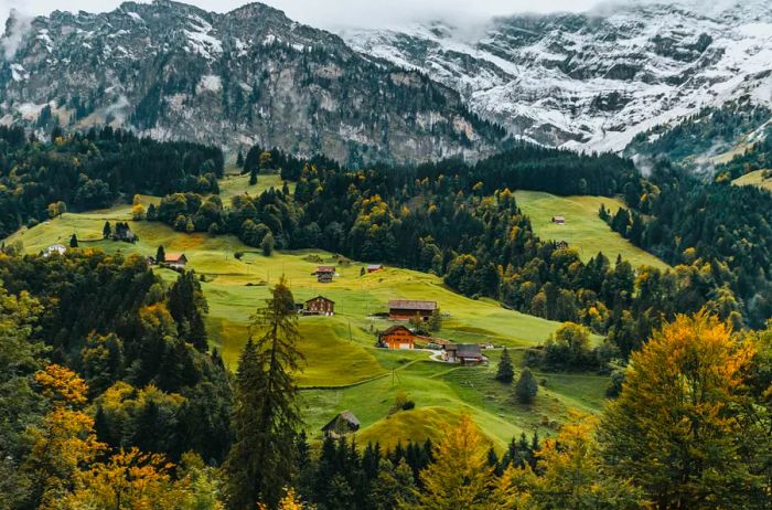 Scenic houses dotted among grassy hills and forests, set against the backdrop of snow-capped mountains in Switzerland