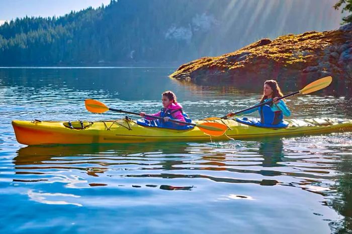 Dinogo Cruise: Alaska Kayaking Adventure