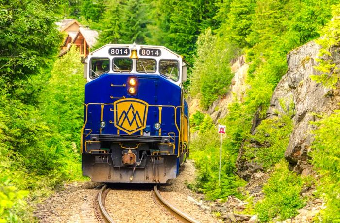 The blue and yellow engine of the Rocky Mountaineer glides through lush greenery.