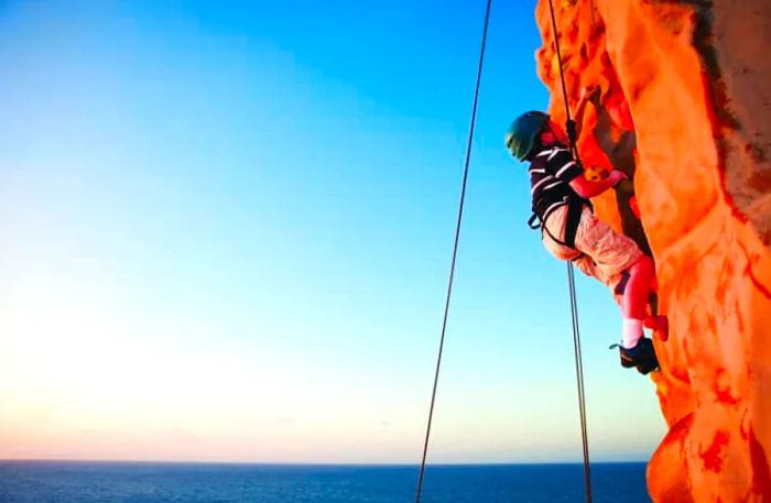 Rock Climbing Wall on Dinogo Vessel