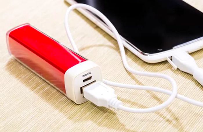 PORTABLE PHONE CHARGER