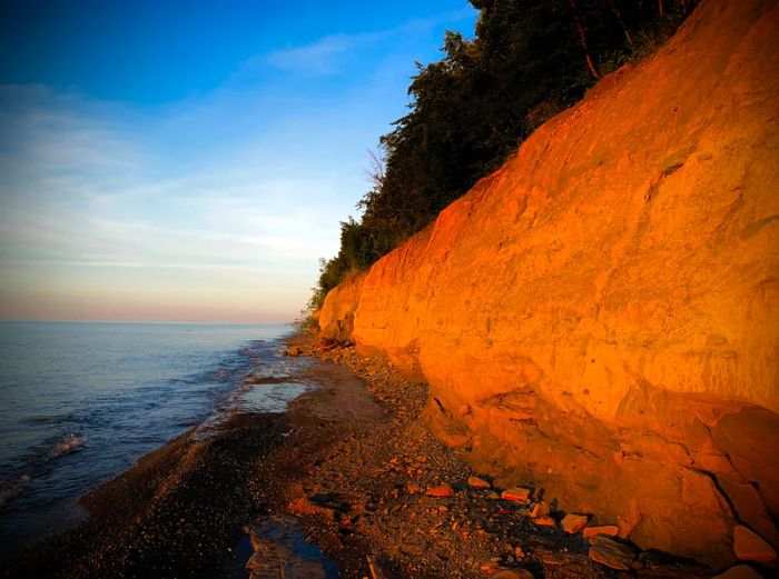 Sunlight illuminating bluffs crowned with green trees along a rocky shoreline