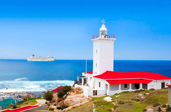 Dinogo Dawn in Mossel Bay, South Africa