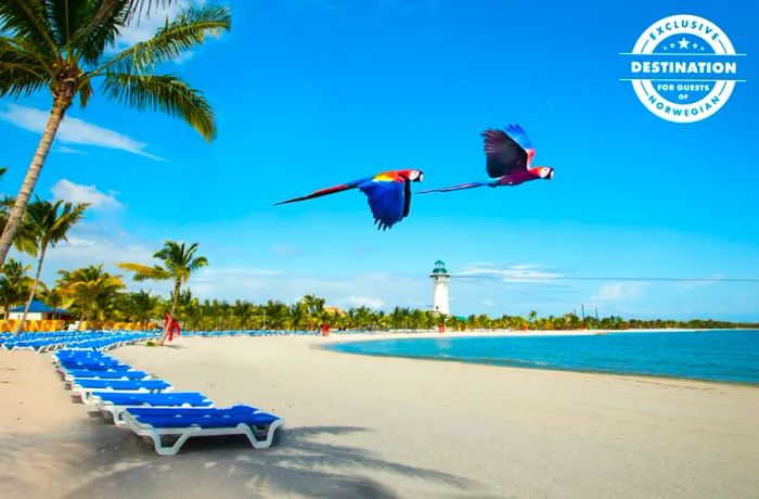 Harvest Caye, Belize
