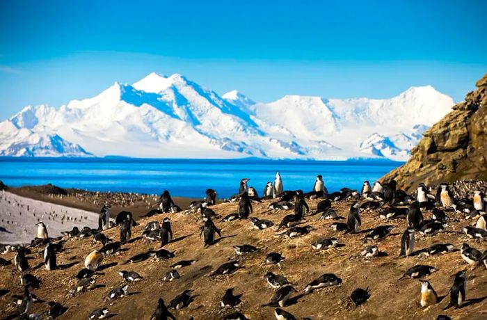 Deception Island, Antarctica