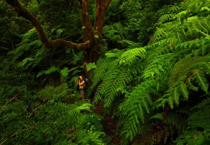 Tenerife boasts an abundance of natural wonders.