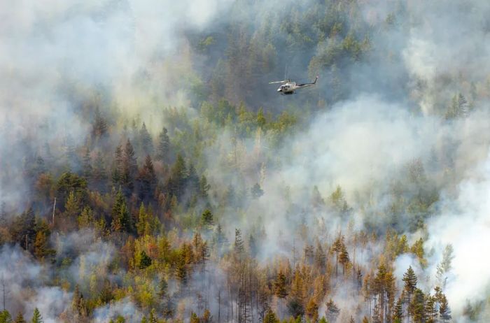 A helicopter hovering over a forest shrouded in smoke in Canada.