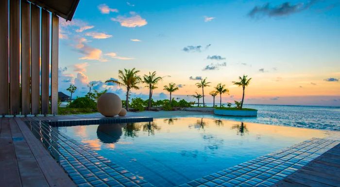 A square outdoor infinity pool surrounded by palm trees, with a view of the sea at dusk