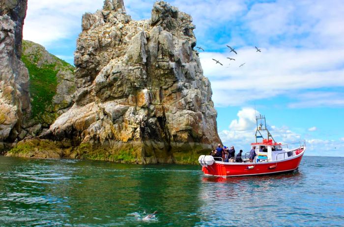 Ireland's Eye Ferries navigating the waters