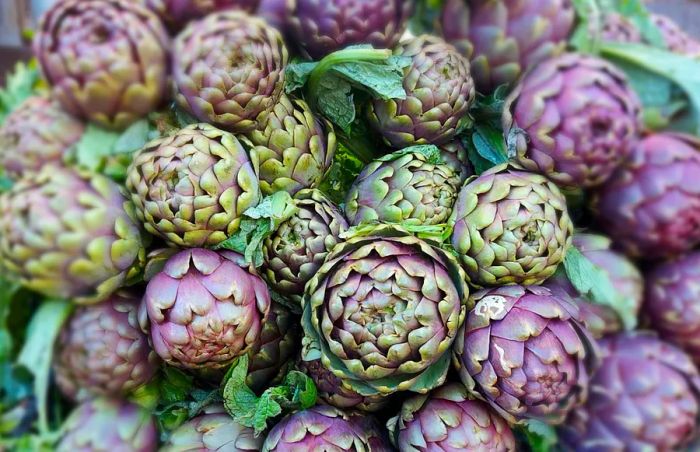 A cluster of vibrant purple-green artichokes