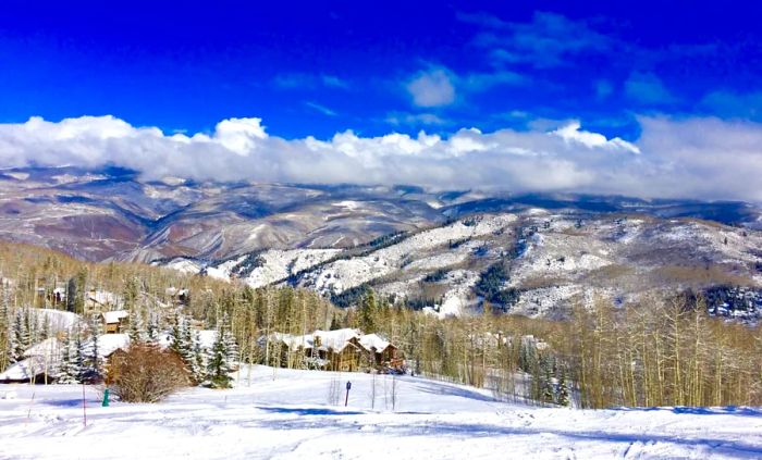 A cluster of snow-covered homes nestled among trees, framed by mountains in the background.