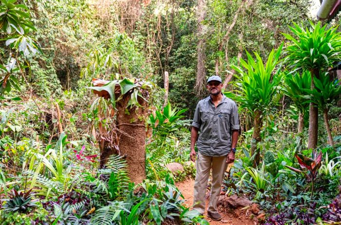 Wildlife conservationist Bala Amarasekaran amidst the lush jungles of Sierra Leone