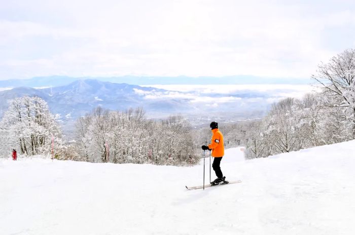 A skier in an orange jacket gazes at a distant snow-covered mountain