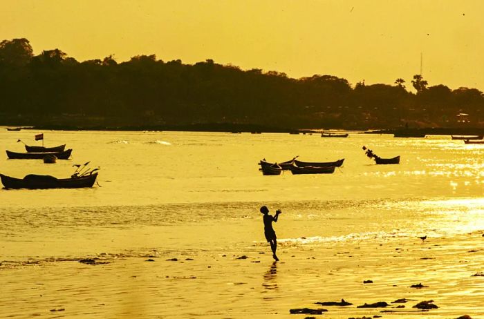 A silhouette of a person fishing at sunset, with boats dotting the background.