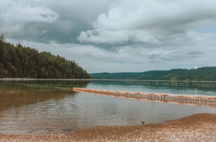 A long dining table, surrounded by chairs, stretches into a lake, enveloped by trees beneath a cloudy sky.