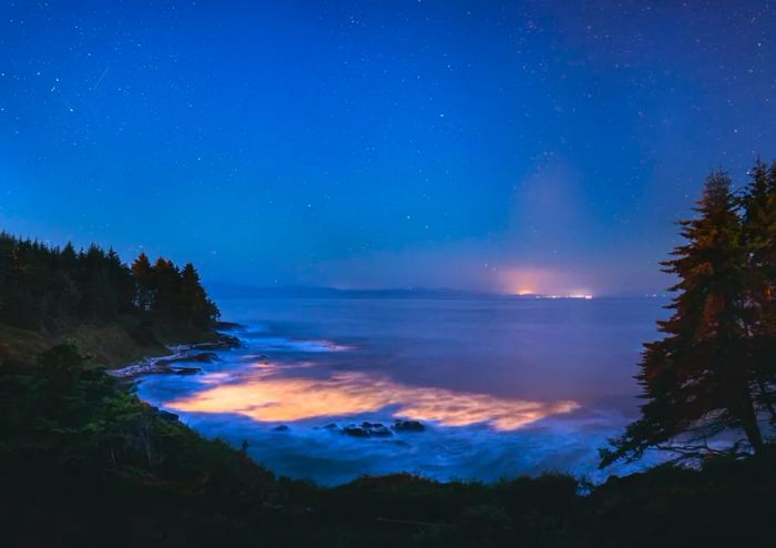 The Ocean's Bioluminescence