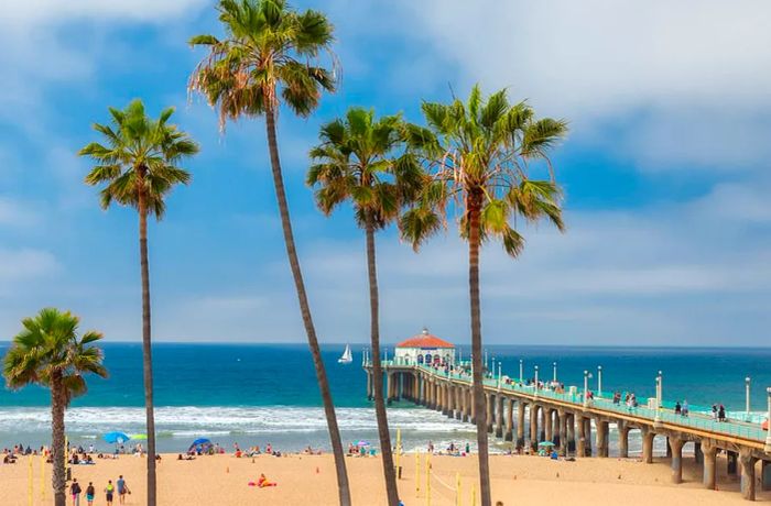 Los Angeles Beaches