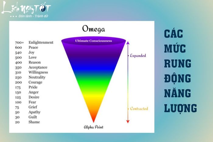 Các mức tần số rung động thường gặp