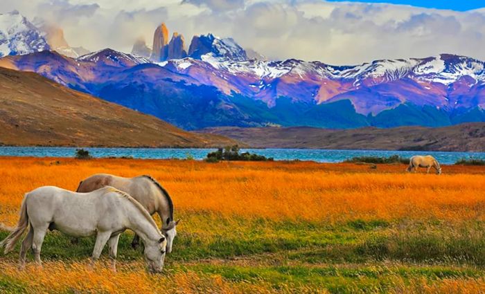 Torres Del Paine National Park