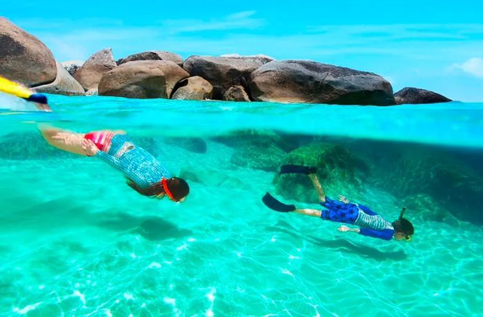 Try Snorkeling in Bermuda.