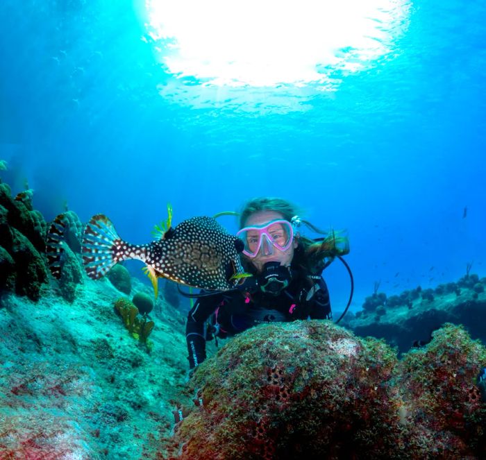 Explore the depths through scuba diving in Curaçao.