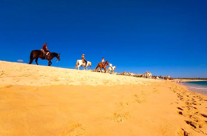 Horseback Riding in Los Cabos