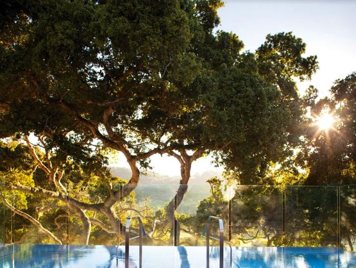 A swimming pool nestled before a grove of trees at sunset