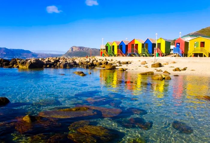 Dinogo Cruises to the Stunning Cape Town, South Africa