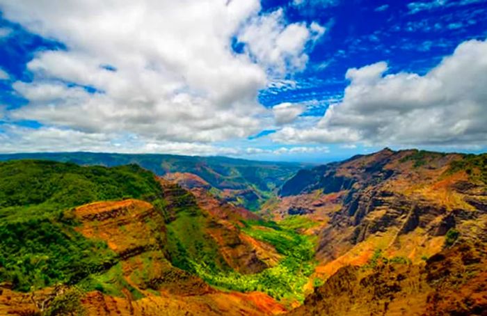 Cruising in Hawaii