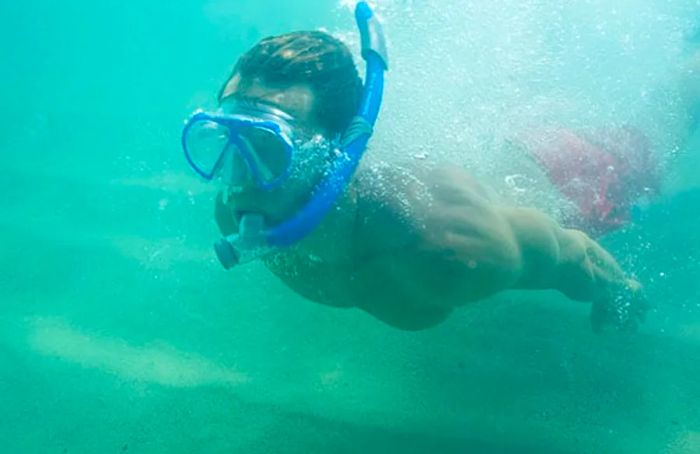 Swim in the Caribbean