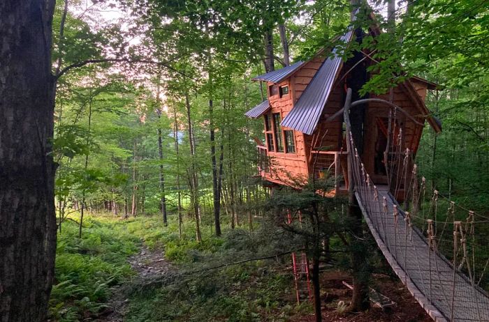 Tree house connected by a suspension bridge in a lush forest