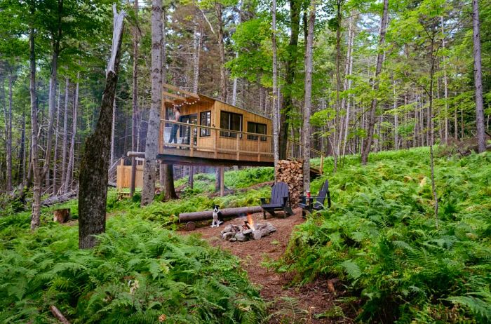 Tree House Hut located in Braintree, Vermont.