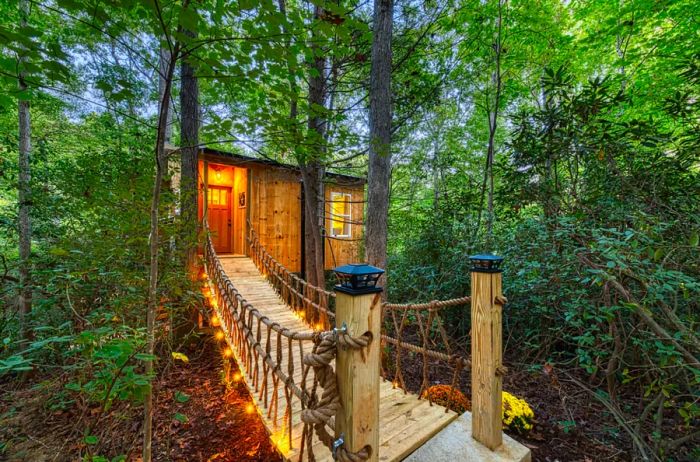 Tree house featuring a suspension bridge