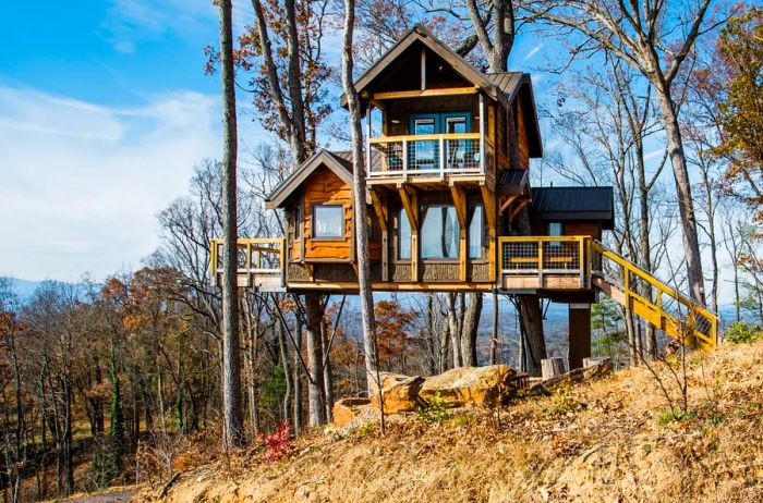 Tree house enveloped by greenery