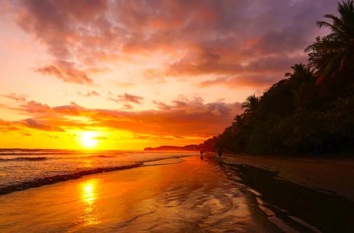 Sunset view at Marino Ballena National Park, Costa Rica